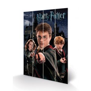 Harry Potter - Harry Ron & Hermione - Impression Sur Bois 40x59cm
